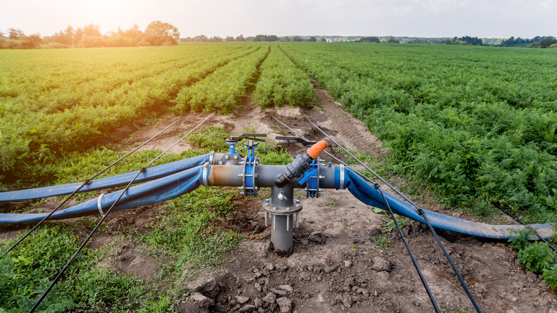 Choosing-the-Right-Irrigation-tube-for-Your-Farm