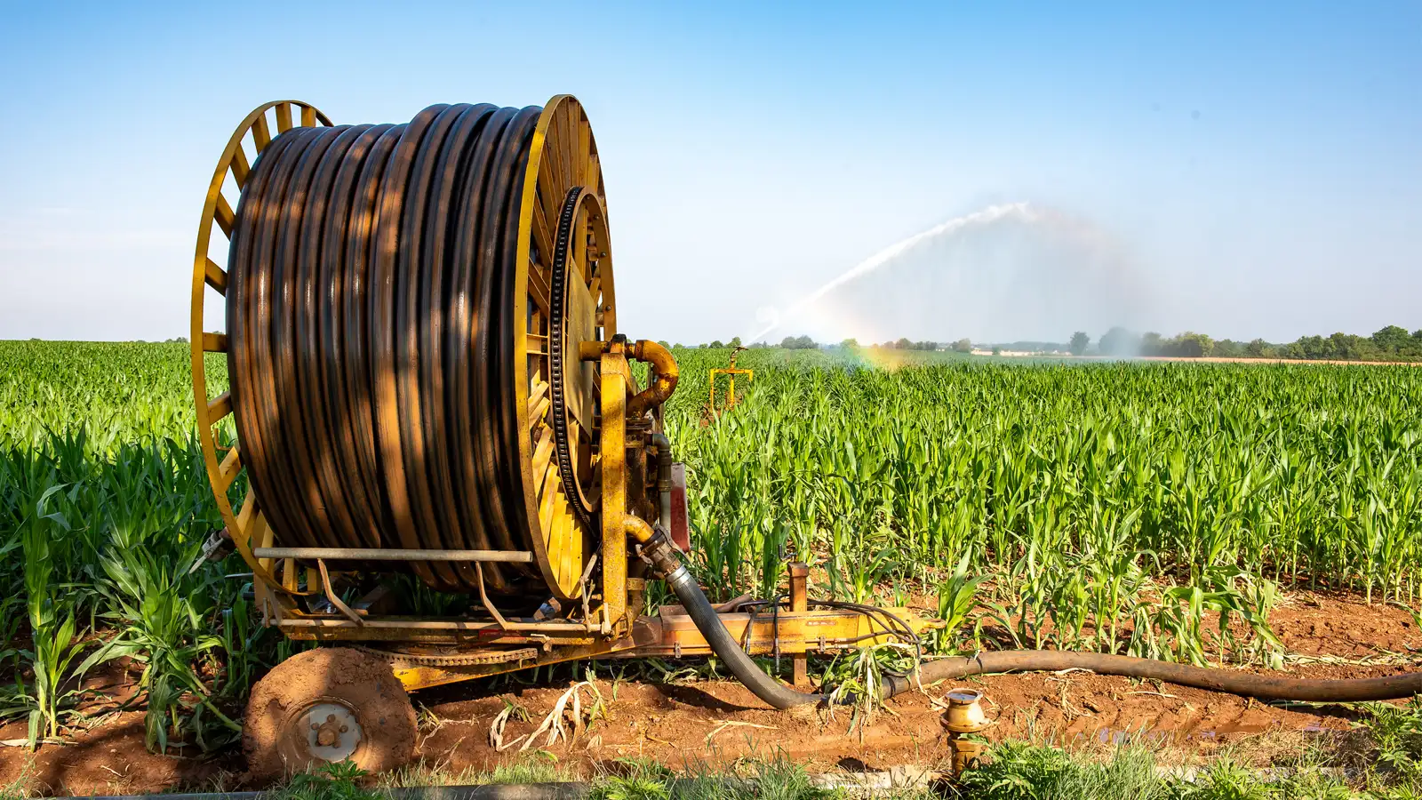 Lay flat hose and pipe rental system deployed in a farm field supporting seasonal irrigation and liquid manure application without long-term equipment ownership