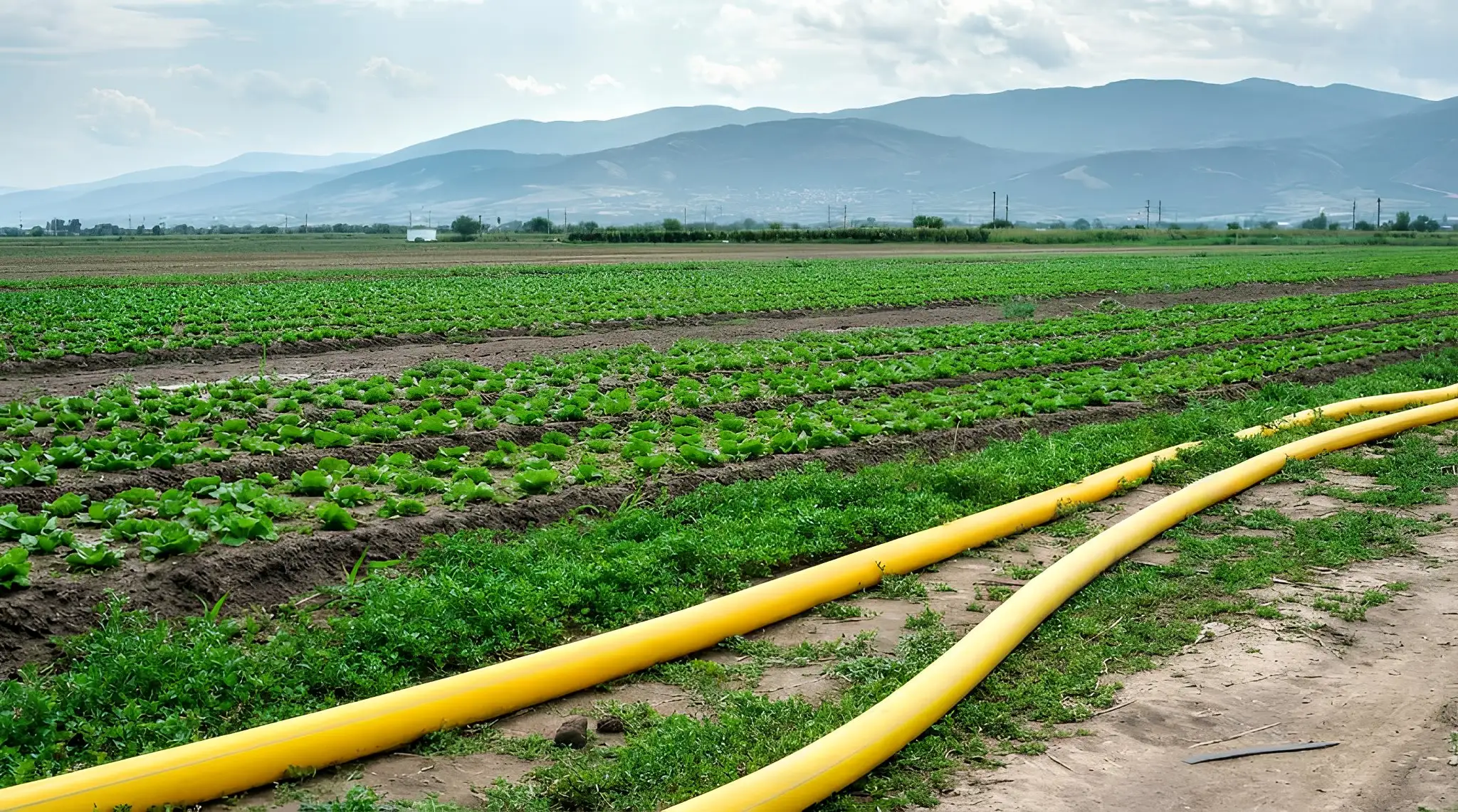 Improved Irrigation Performance